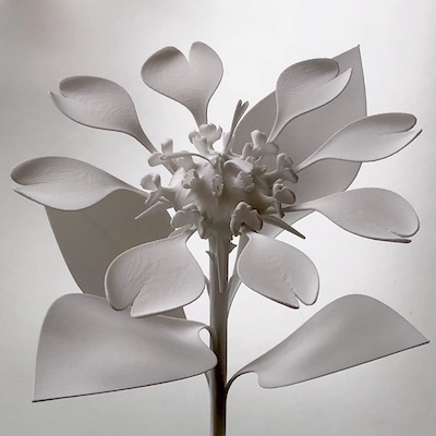 3D print flower