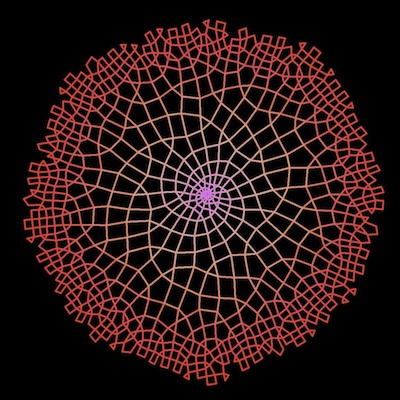 phyllotaxis