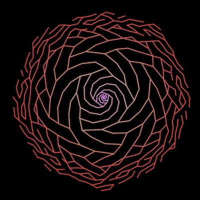 phyllotaxis