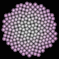 phyllotaxis