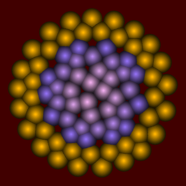 phyllotaxis